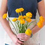 bulk yellow ranunculus