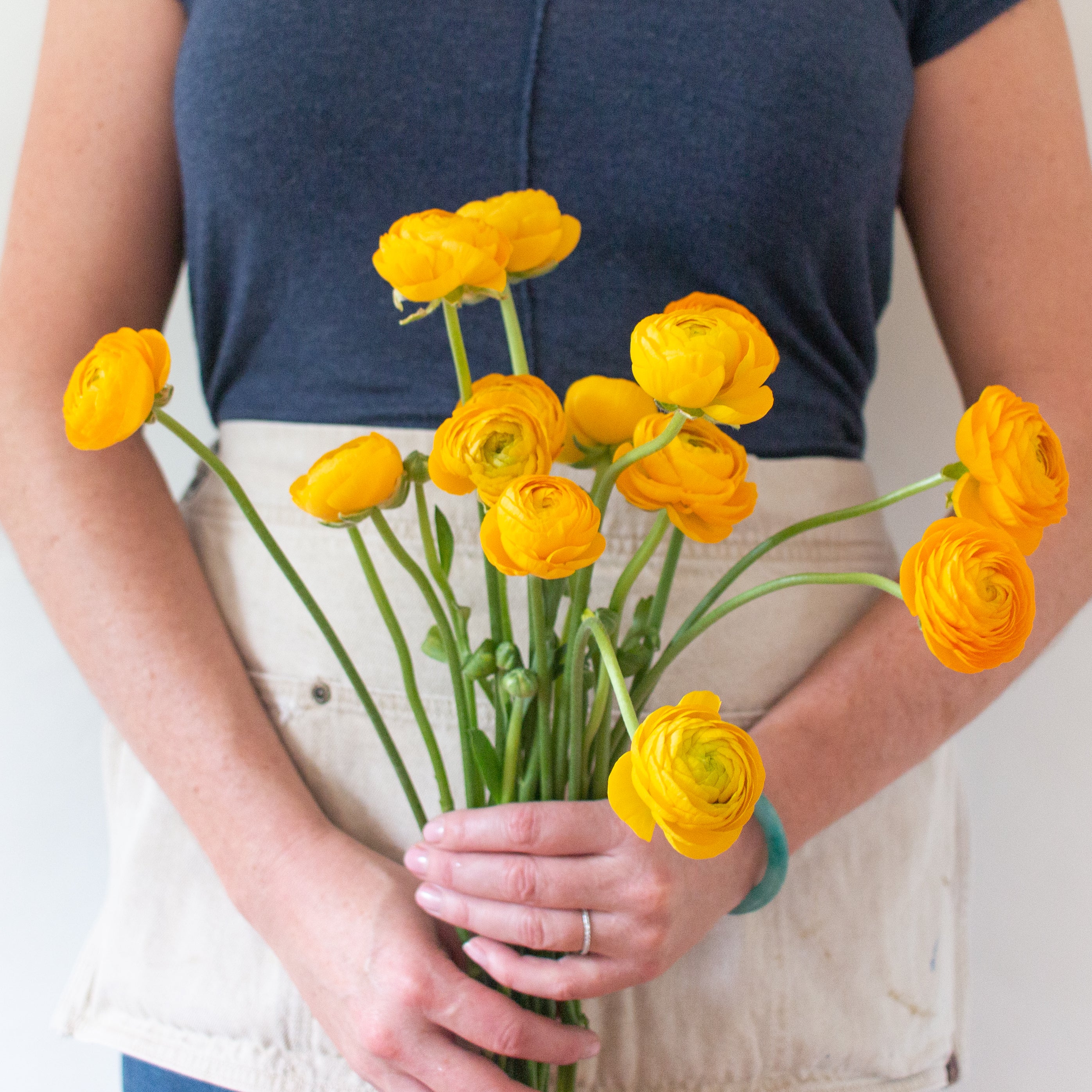 bulk yellow ranunculus