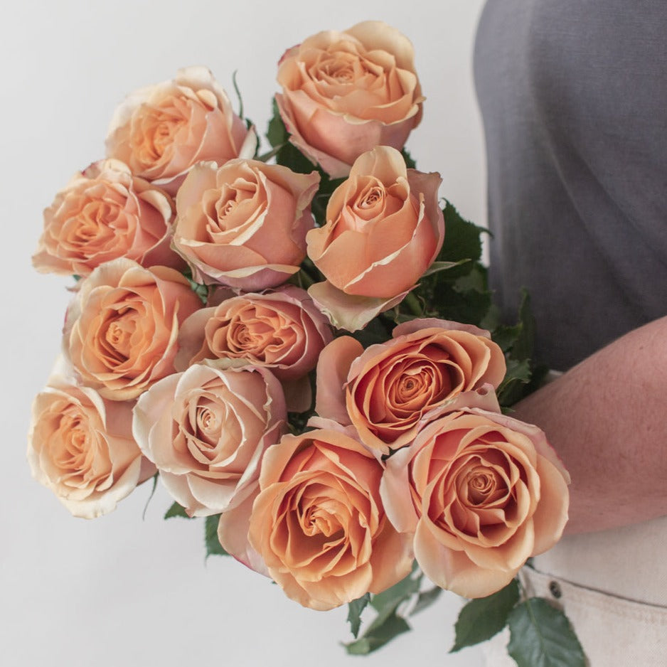 bulk golden mustard garden roses