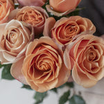 bulk golden mustard garden roses