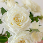 bulk white garden roses