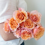 bulk peach garden roses