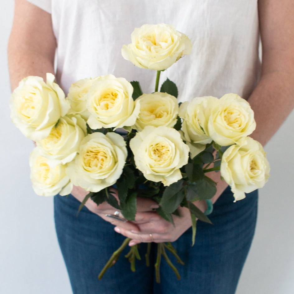 mayra's white wedding garden roses