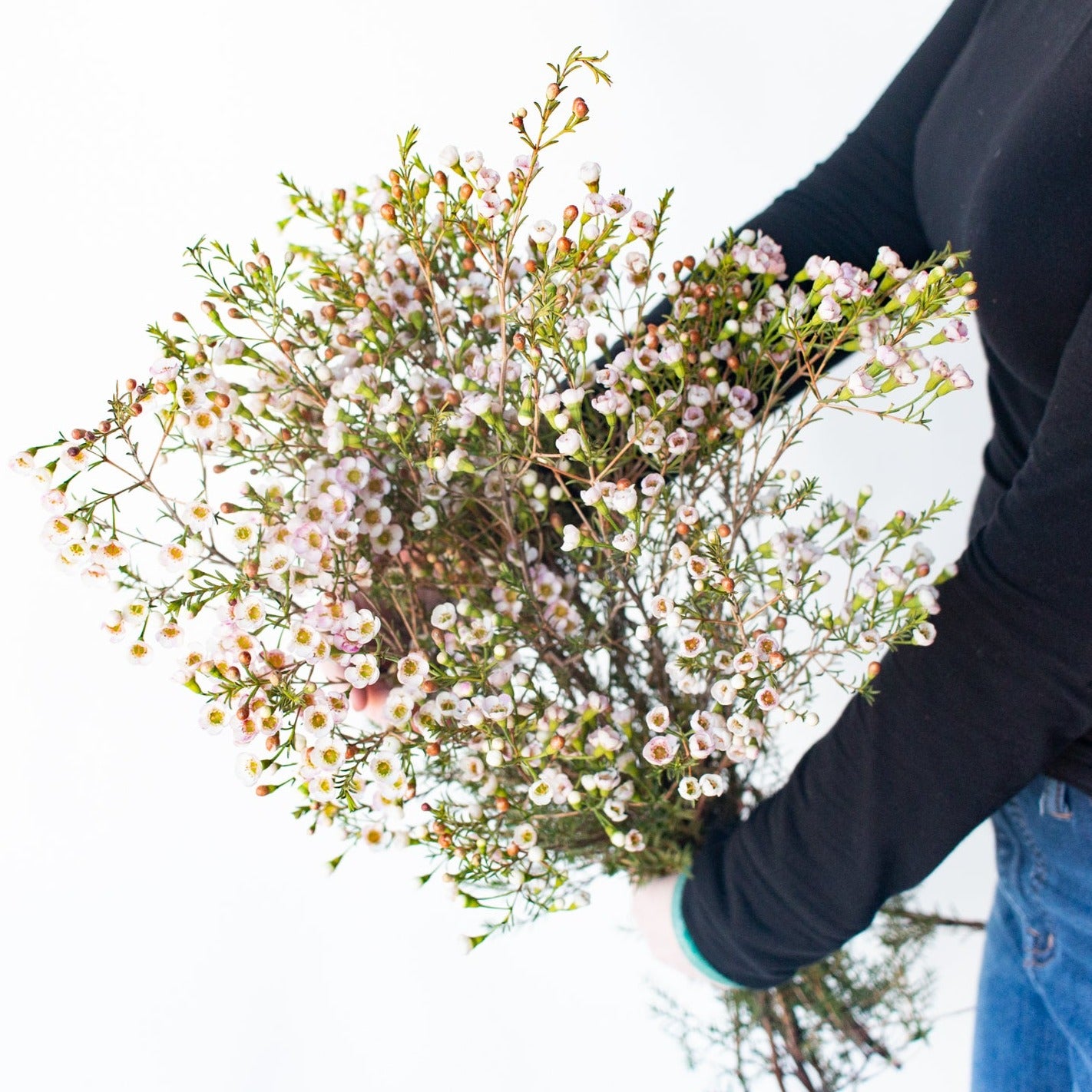 bulk white wax flowers