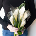 bulk white calla lilies