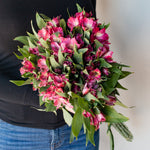 bulk dark pink alstroemeria