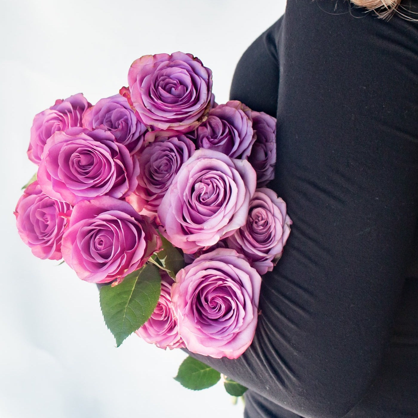 bulk purple roses