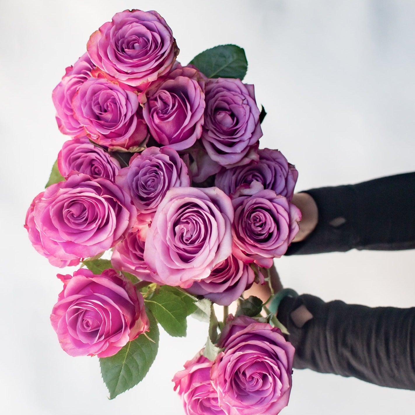 bulk purple roses